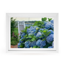 Load image into Gallery viewer, Edgartown Hydrangea Collection Prints - Bay Breeze