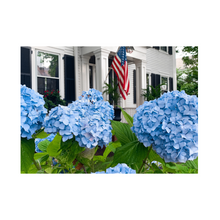 Load image into Gallery viewer, Edgartown Hydrangea Collection Prints - Blue Salute